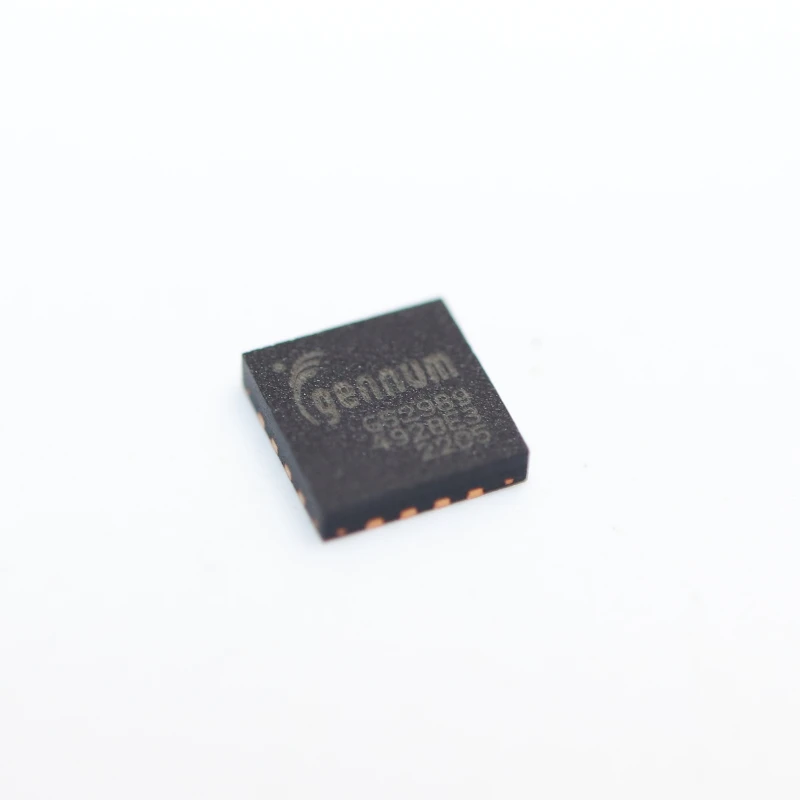 GS2989-INTE31
